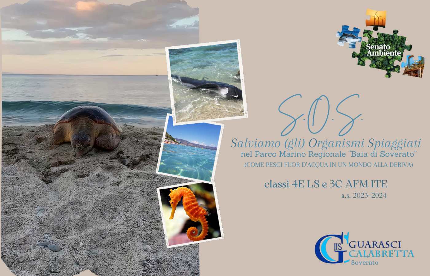 S.O.S. Salviamo (gli) Organismi Spiaggiati nel Parco marino regionale “Baia di Soverato” (Come pesci fuor d'acqua in un mondo alla deriva)