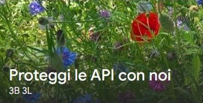 Proteggi le api con noi. Indagine conoscitiva sulle cause del declino delle api nel territorio dell’Alta Valle del Tevere