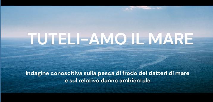 Tuteli-Amo il mare: indagine conoscitiva sulla pesca di frodo dei datteri di mare e sul relativo danno ambientale