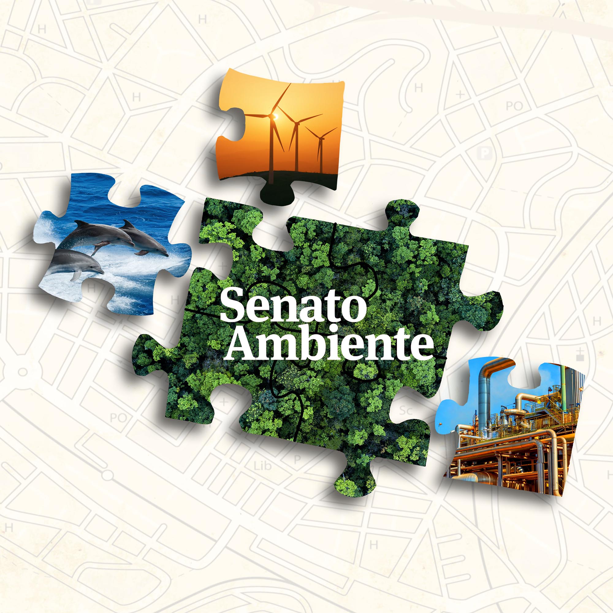 SenatoAmbiente